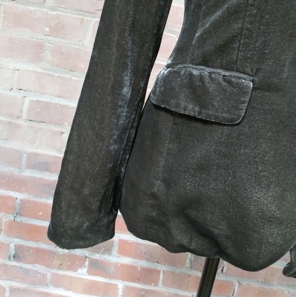 Banana Republic | Amazing Crushed Velvet Blazer - Picture 4 of 8